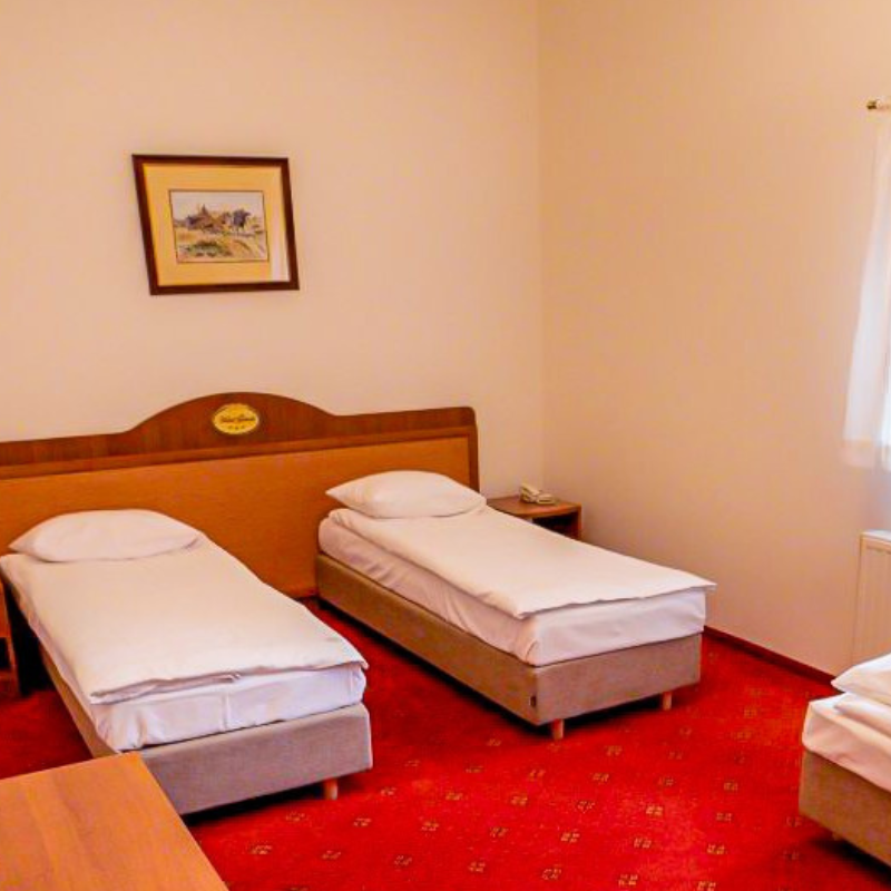 Pokój Triple w Hotelu Górskim blisko łodzi wygodne zakwaterowanie dla zespołów projektowych i technicznych.png