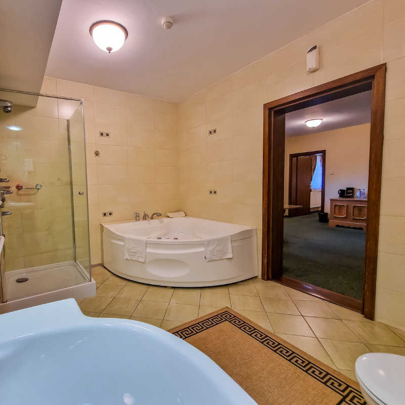 Apartament w Hotelu Górskim województwo łódzkie komfort  dla biznesu i dłuższych pobytów standard trzygwiazdkowy (7).png